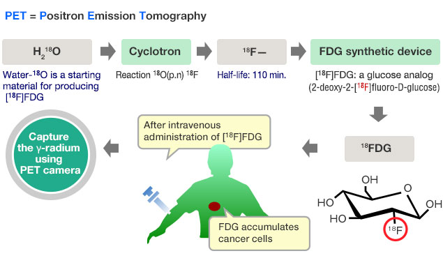 Figure 1: [18F]FDG -PET diagnosis using Water-18O